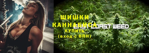 дживик Абаза