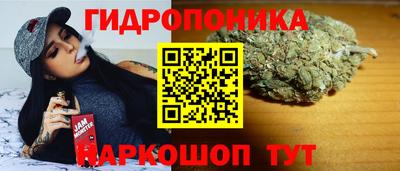 spice Краснознаменск