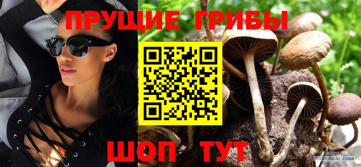 Псилоцибиновые грибы ЛСД Кохма