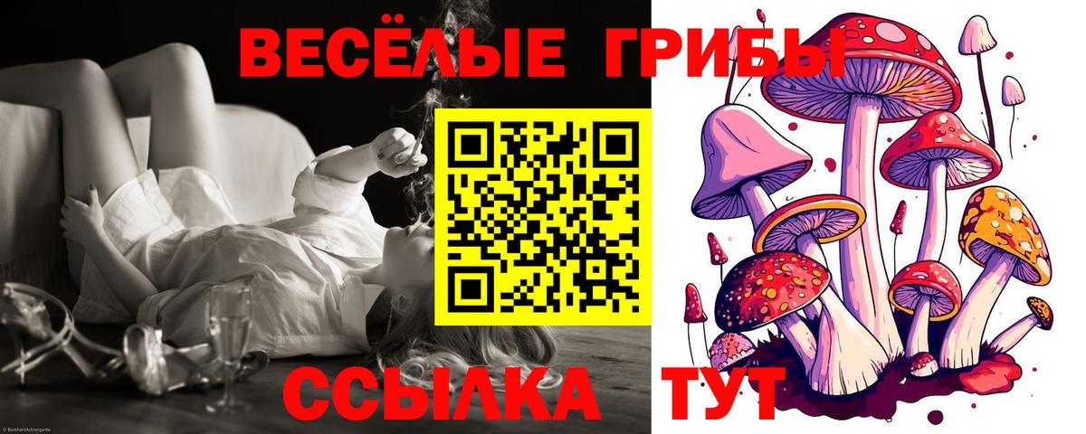 Кохма  сколько стоит  Вход с VPN  Галлюциногенные грибы Cubensis 